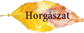 Horgaszat